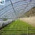 Import Factory Price Greenhouse Film PE Plastic Film Agriculture Film from China