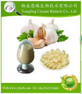 Factory Supply Directly Garlic Extract With Supplements and Pharmaceuticals