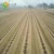 Import Factory supply drip irrigation pipe 16mm hose farm irrigation systems from China