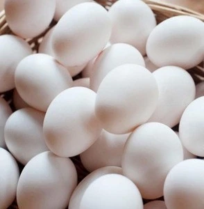 Farm Fresh Table White Eggs