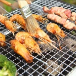Folding Stainless Steel Charcoal Barbecue Grill Portable Inox Carry Case BBQ Outdoor Grill Stove OEM Orders Accepted