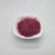 Import Food supplement dried red grapes fruit juice concentrate powder with halal from China