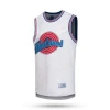 Free Shipping Custom Adult Throwback Jordan #23 Tune Squad Space Jam Embroidered Basketball Jersey