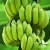 Import Fresh Cavendish Banana with Best Price Wholesaledish Banana with Best Price Wholesale Veitnam from China