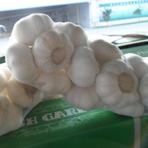 fresh garlic and ginger fresh garlic packaging single clove garlic price
