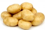 Fresh natural high quality organic china potatoes