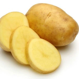 FRESH POTATO(High quality Chinese exporters)