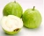 Import Fresh Sweet Guava from South Africa