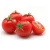Import Fresh Tomatoes For Sale from Ukraine