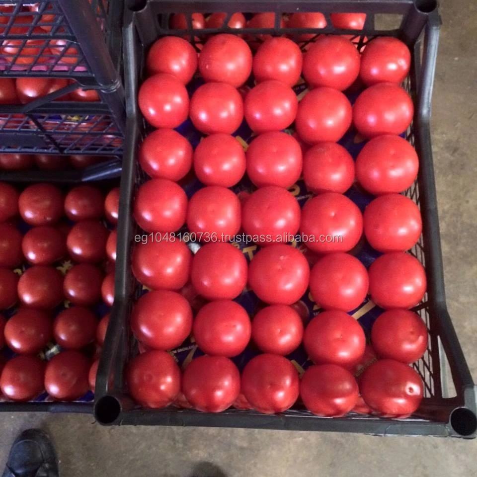 Fresh Tomatoes, red Tomatoes,