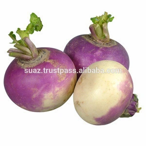 Fresh Turnip , Pakistani Fresh vegetables exporter