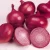 Import 100% Fresh USA Red Onion from Top Exporter from South Africa