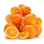 Fresh Valencia Orange From Egypt Top Selling Sweet Premium Citrus Fruit Natural Organic Healthy Valencia Orange