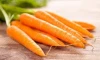 Fresh wholesale carrots Competitive Price from Egypt