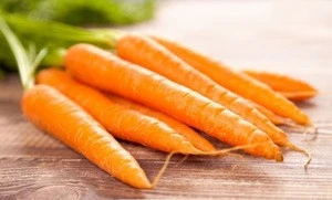 Fresh wholesale carrots Competitive Price from Egypt