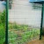 Import Galvanized Welded Fence Panels Wire Mesh Wire Fence and Gates from China