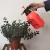 Import Garden handheld pump 2 liter air pressure sprayer bottle from China