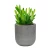 Import Garden-shaped plant planting porcelain flower pots small flower pots succulent planting flower pots from China