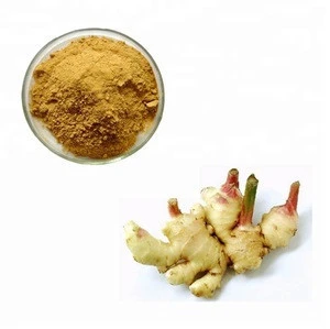 GMP. Factory Supply Top Quality Ginger Extract Concentrate