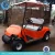 Import Golf cart, two seats golf cart,mobility scooter from China