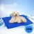 Import GOOD selling  indoor yoga sleeping waterproof cold gel mats pets from China