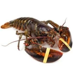 Grade A Boston lobster available