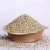 Import Green Millet/ Bulk Green Millet Available in Ukraine from Ukraine