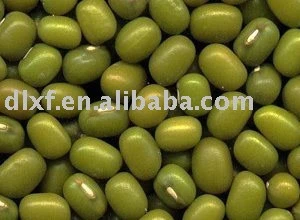 Green Mung bean beans 2018 crop