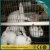 Import Guangzhou Factory 3 tier 72 rabbit portable rabbit cages rabbit breeding cage for sale with CE ISO certificate from China