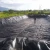 Import Hdpe Geomembrane Waterproofing Pond Lining 6m to 8m Width Geomembrane Pond Liner from China