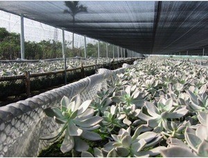 High-density polyethylene UV stabilized Agricultural shade and Sun Shade Nets