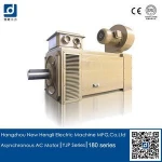 high efficient magnetic motor free energy