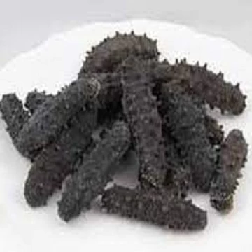 High Quality Dried Sea Cucumber for Sale At Low Price