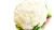Import High quality fresh Cauliflower from USA