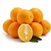 High Quality Fresh Orange.