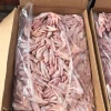 High Quality Frozen Chicken Feet For Sale