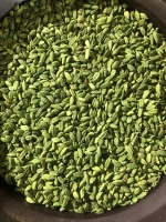 High quality Green Cardamom Elettaria cardamomum fruits