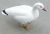 Import High quality US/Canada Standard Hunting Snow Goose Decoy from China