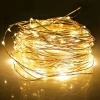 Holiday Wedding LED Copper Wire String Twinkle Light