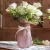 Import Home nature colors planting inside with elegant transparent stylish glass vases from China