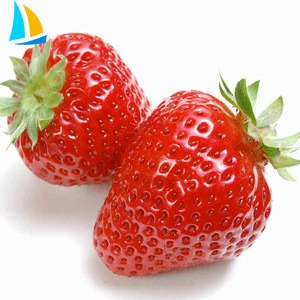 Hot sale fresh frozen IQF strawberry