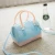Hot sale PVC new Summer Waterproof Women Jelly Handbag