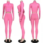 Hot Sale Wholesale Nightclub high neck embroidery letters zipper fall sports women joggers tracksuit 2piece set woman