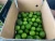 Import Hot Sales High Quality Vietnamese Fresh Seedless Lime PHU HAI MINH from China