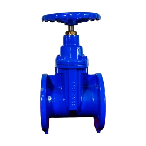 Hot  selling  customized   BS5163   DN50  PN10    Non  rising  stem  resilient  soft   seat  gate  valve
