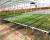 Import Hydroponic Greenhouse Plastic Film Greenhouse Equipment Greenhouse Agricultural Plastic Film from China