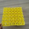 Incubator egg tray 30 holes plastic tray