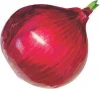 Indian Fresh Red onion