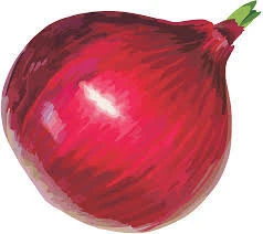 Indian Fresh Red onion