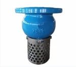 Industrial Ductile Iron Water Pump Flanged Bottom Valve Foot Valve